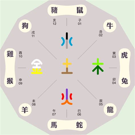 生肖馬五行|屬馬的五行（金、木、水、火、土）性格和命運分析